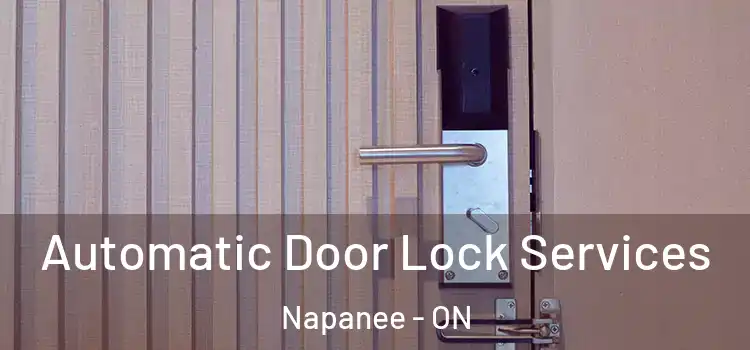 Automatic Door Lock Services Napanee - ON