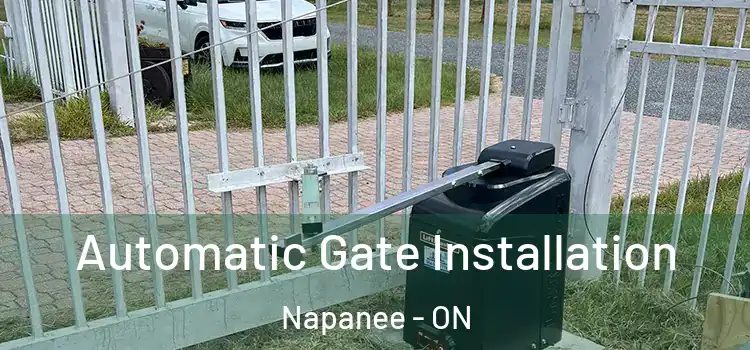 Automatic Gate Installation Napanee - ON