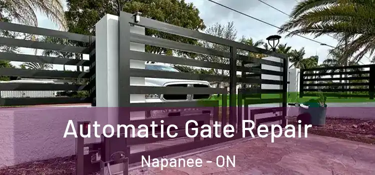 Automatic Gate Repair Napanee - ON
