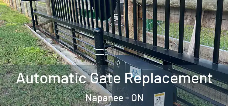 Automatic Gate Replacement Napanee - ON