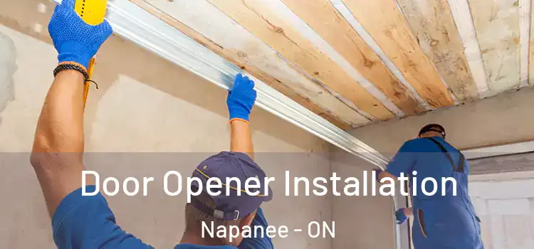  Door Opener Installation Napanee - ON