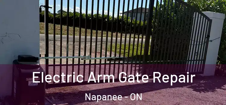 Electric Arm Gate Repair Napanee - ON