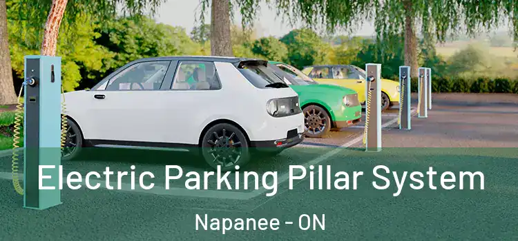  Electric Parking Pillar System Napanee - ON
