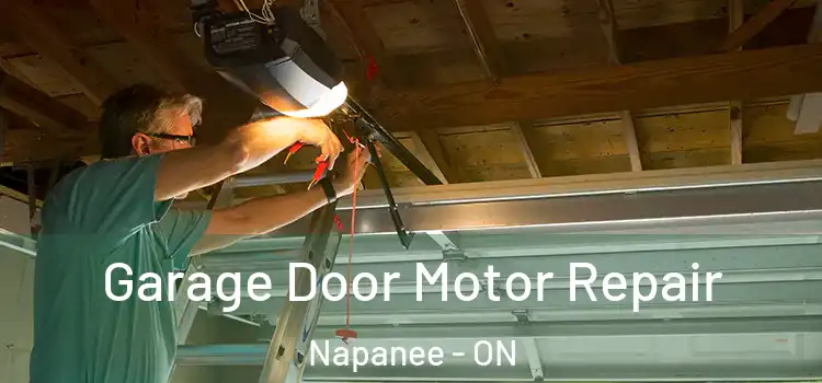  Garage Door Motor Repair Napanee - ON
