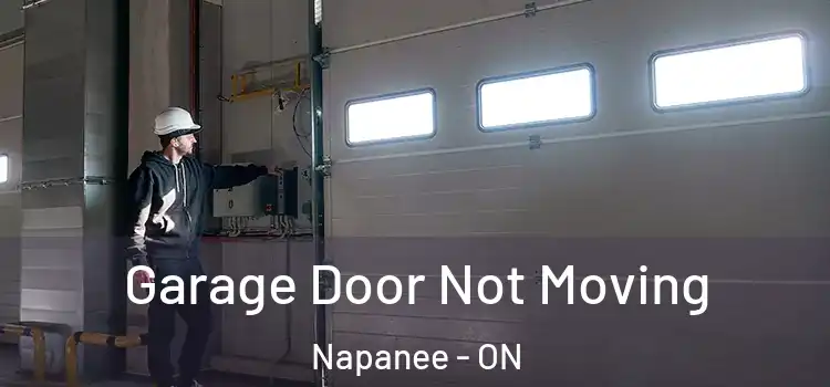  Garage Door Not Moving Napanee - ON