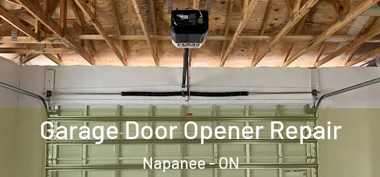  Garage Door Opener Repair Napanee - ON