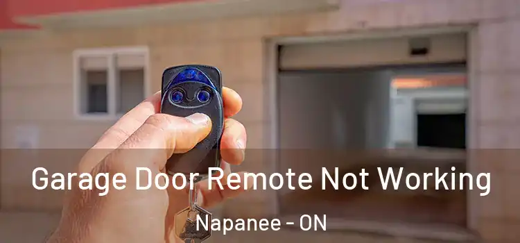  Garage Door Remote Not Working Napanee - ON