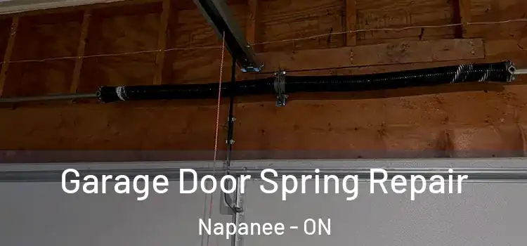  Garage Door Spring Repair Napanee - ON