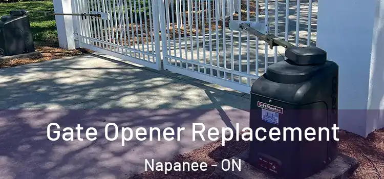 Gate Opener Replacement Napanee - ON