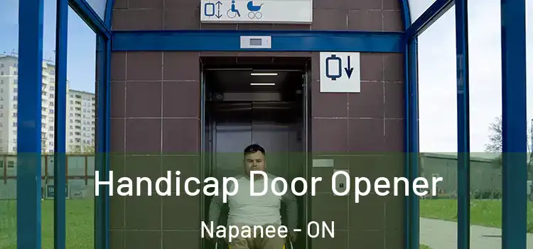 Handicap Door Opener Napanee - ON