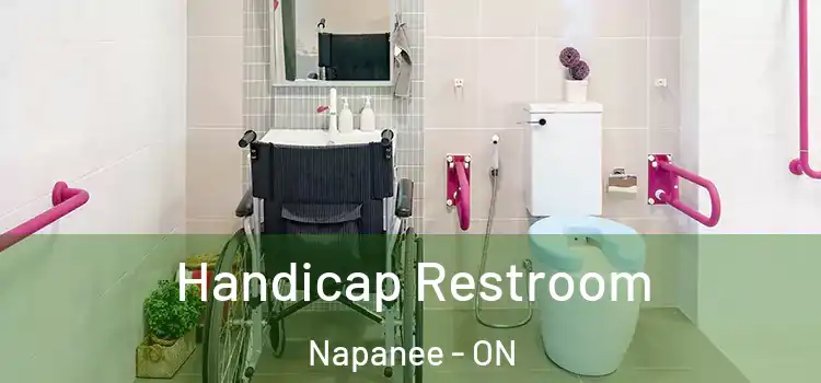 Handicap Restroom Napanee - ON