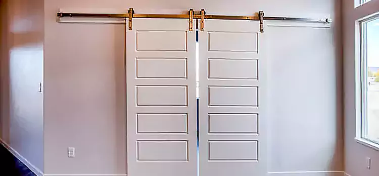 Glass Barn Door with Installation Hardware Kit Napanee