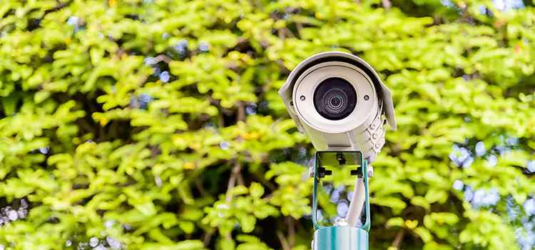 Advanced Surveillance Solutions for Every Need in Napanee