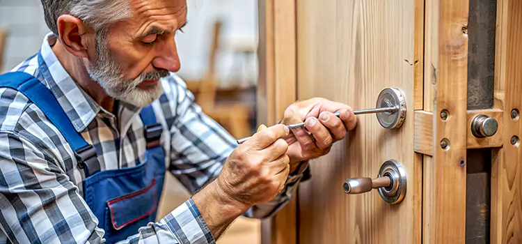 Mortise Replacement Lock Napanee