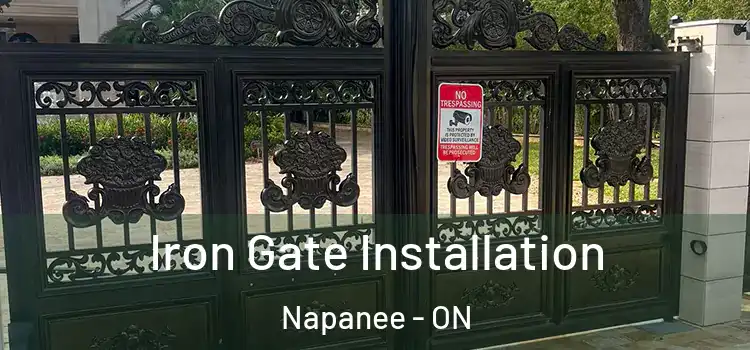 Iron Gate Installation Napanee - ON