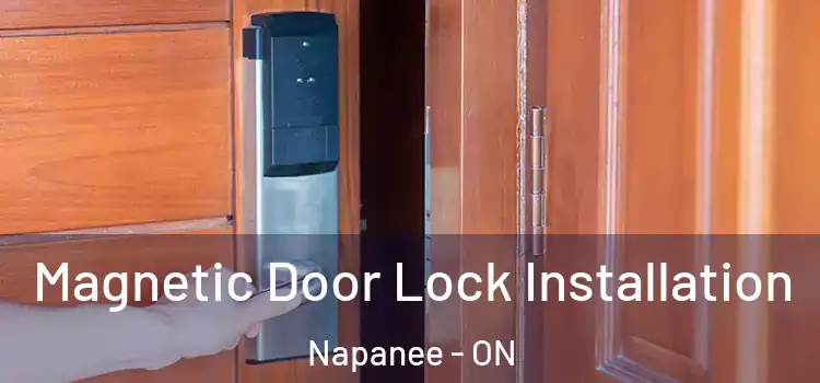  Magnetic Door Lock Installation Napanee - ON