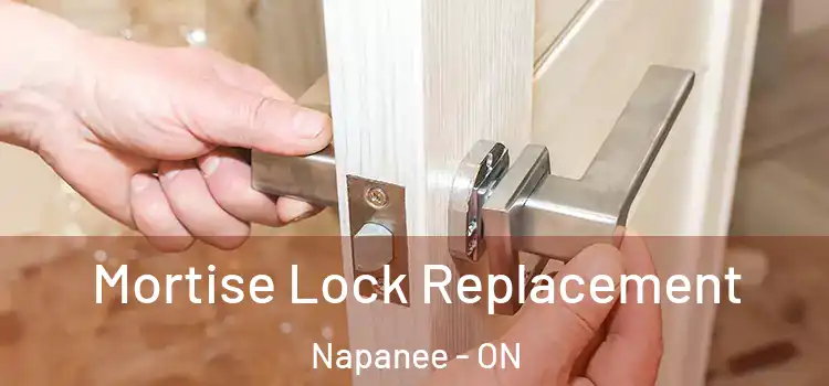 Mortise Lock Replacement Napanee - ON