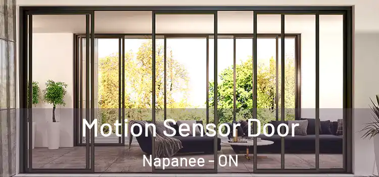 Motion Sensor Door Napanee - ON