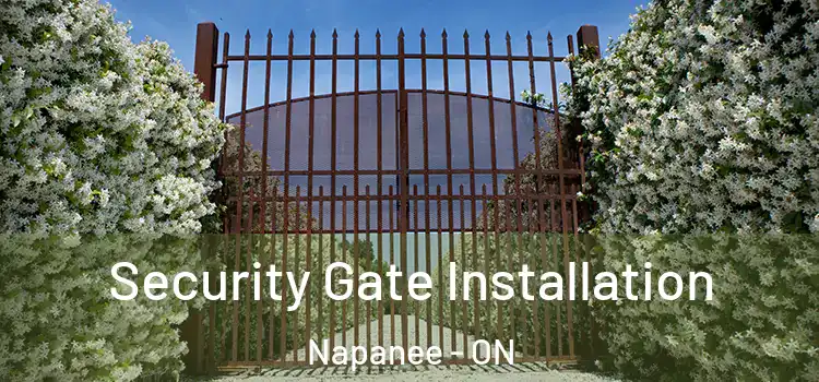 Security Gate Installation Napanee - ON
