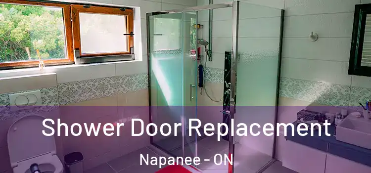Shower Door Replacement Napanee - ON