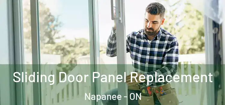  Sliding Door Panel Replacement Napanee - ON